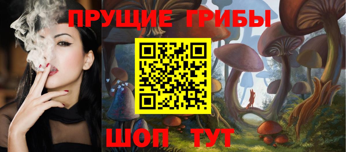 Кимовск  Псилоцибиновые грибы Cubensis  Вход с VPN  Псилоцибиновые грибы мицелий 